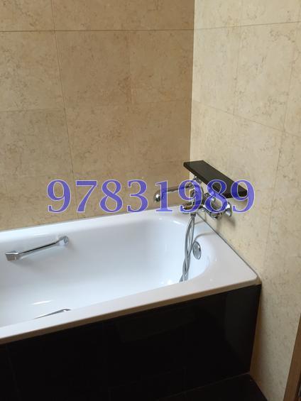 The Waterina (D14), Apartment #143770422